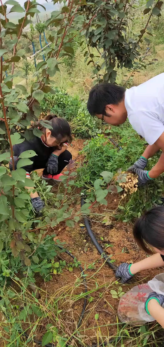 &#20061;&#28216;&#24179;&#21488;&#45;&#20061;&#28216;&#40;&#20013;&#22269;&#41;&#19968;&#31449;&#24335;&#26381;&#21153;&#24179;&#21488;