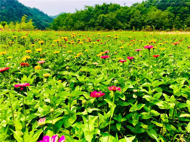&#20061;&#28216;&#24179;&#21488;&#45;&#20061;&#28216;&#40;&#20013;&#22269;&#41;&#19968;&#31449;&#24335;&#26381;&#21153;&#24179;&#21488;