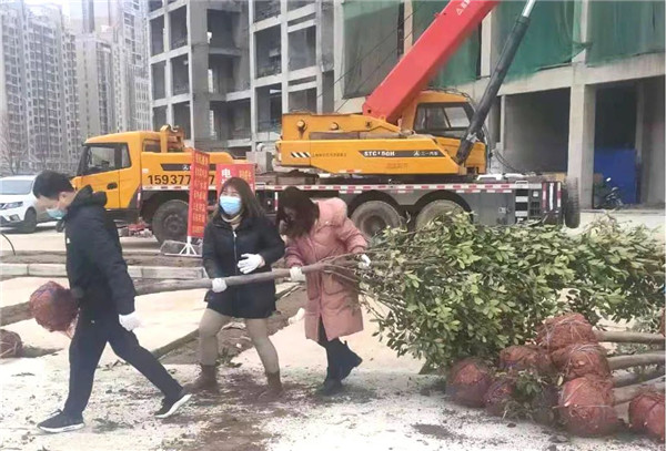 &#20061;&#28216;&#24179;&#21488;&#45;&#20061;&#28216;&#40;&#20013;&#22269;&#41;&#19968;&#31449;&#24335;&#26381;&#21153;&#24179;&#21488;